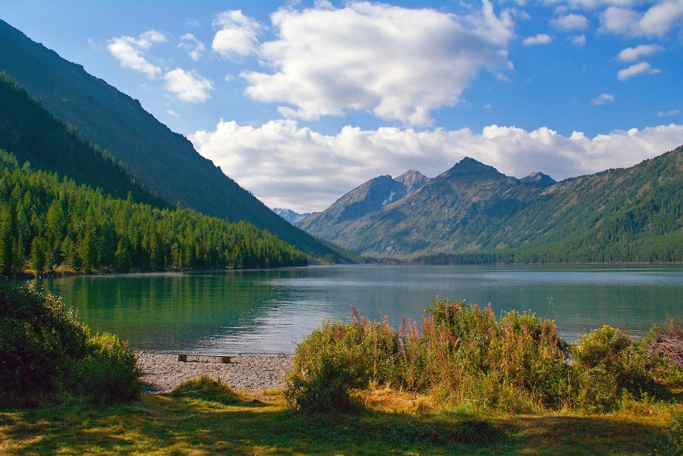 Алтайский край фото природы