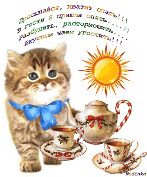 Доброе утро картинки котики с пожеланиями. Открытки с добрым утром с котятами. Пожелания с добрым утром с кошками. Пожелания с добрым утром с котятами. Пожелание доброго утра с котятами.