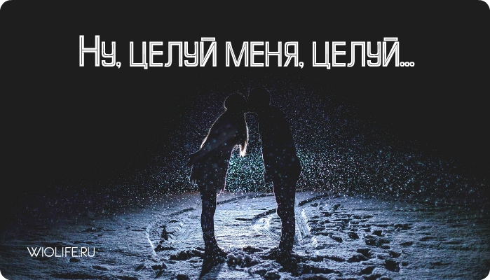 Ну целуй меня целую. Целуй меня целуй хоть до крови. Альбом целуй меня. Брок Энди 