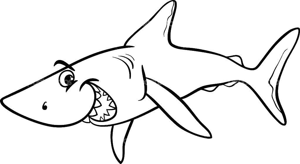 Акула картинка для детей раскраска 027
