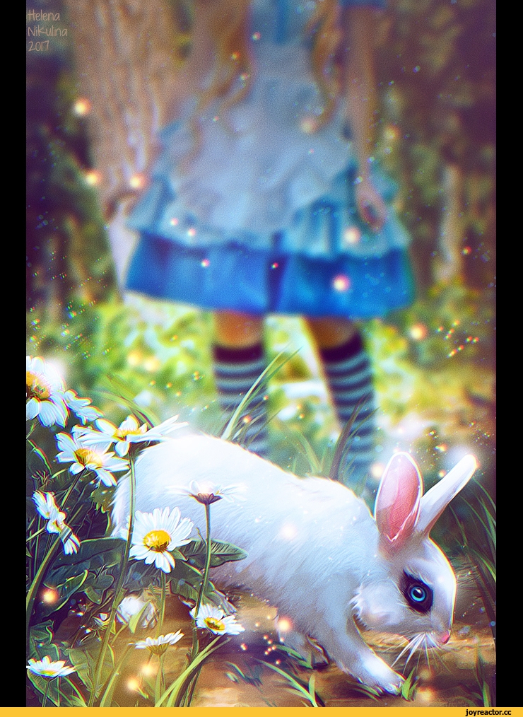 Арт кролики красивые картинки027