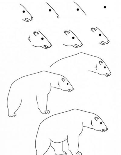 Белый медведь рисунок для детей   прикольные картинки 006