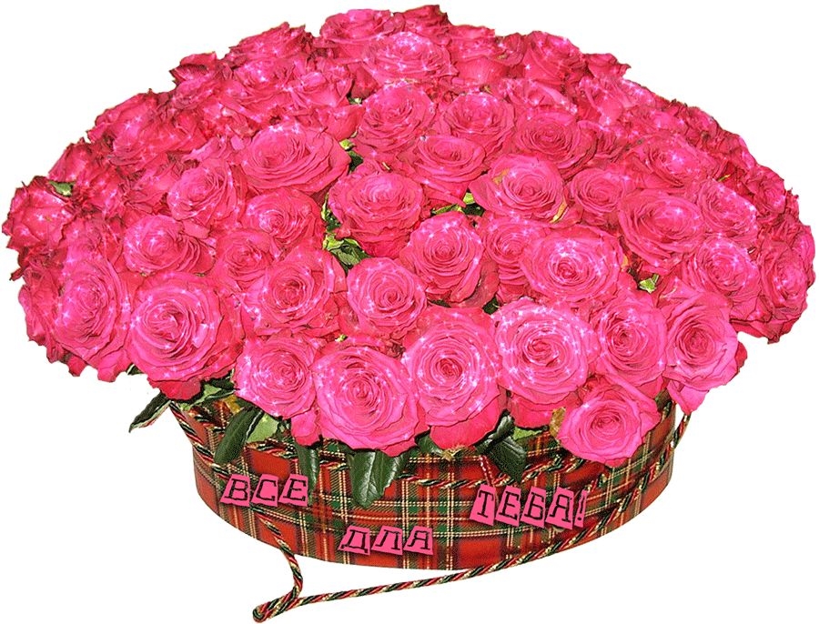 Бесплатно скачать фото красивых роз   подборка 021