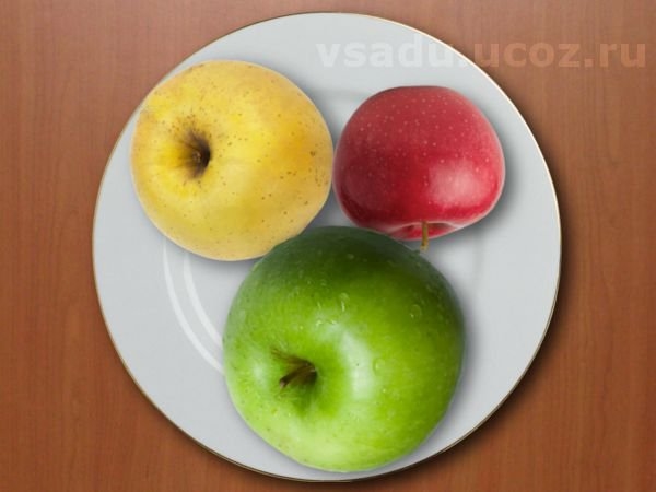 Большие и маленькие яблоки на тарелке картинки025