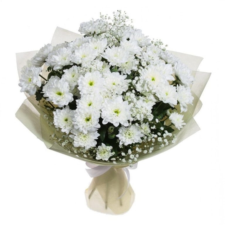Букет белых хризантем фото (21)