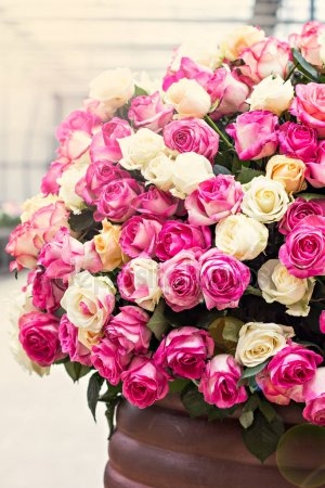 Букет розовых и белых роз   красивые фото 001