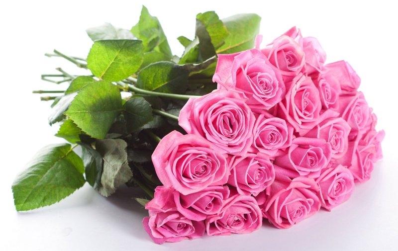 Букет розовых и белых роз   красивые фото 006