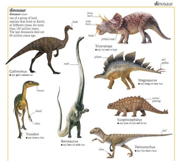 Морские динозавры картинки с названиями