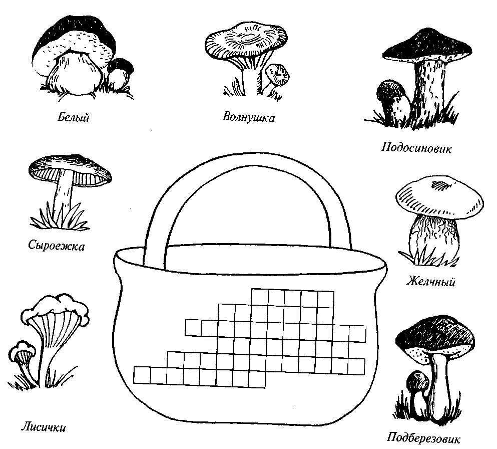 Съедобные и несъедобные грибы раскраска