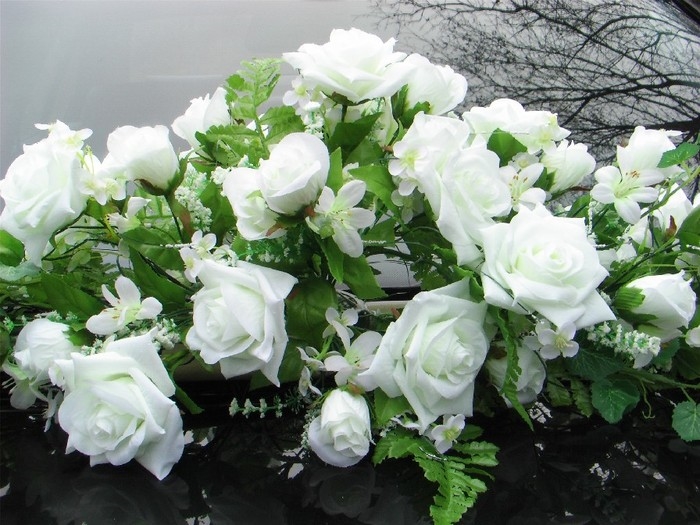 Для любимой белые розы   подборка фото010