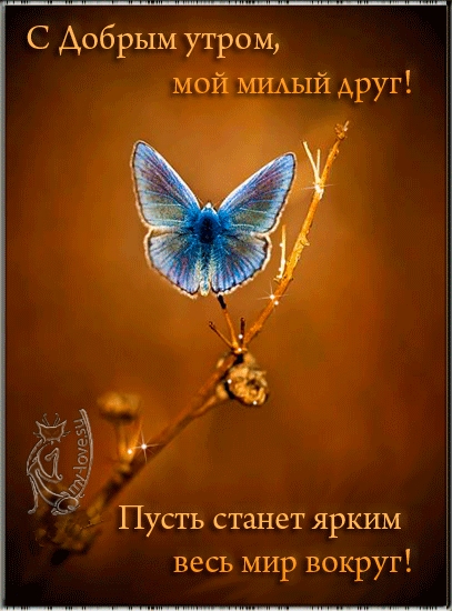 ДОБРОЕ УТРО! | Angel pictures, Morning greeting, Good morning