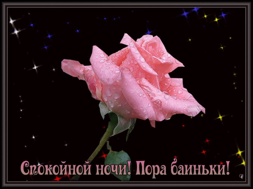 Доброй ночи картинки цветы   очень красивые012