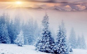 Зима красивые пейзажи картинки и фото 025