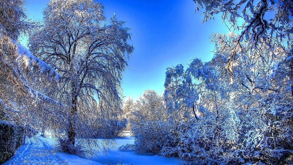 Зимний красивый пейзаж фото и картинки 008