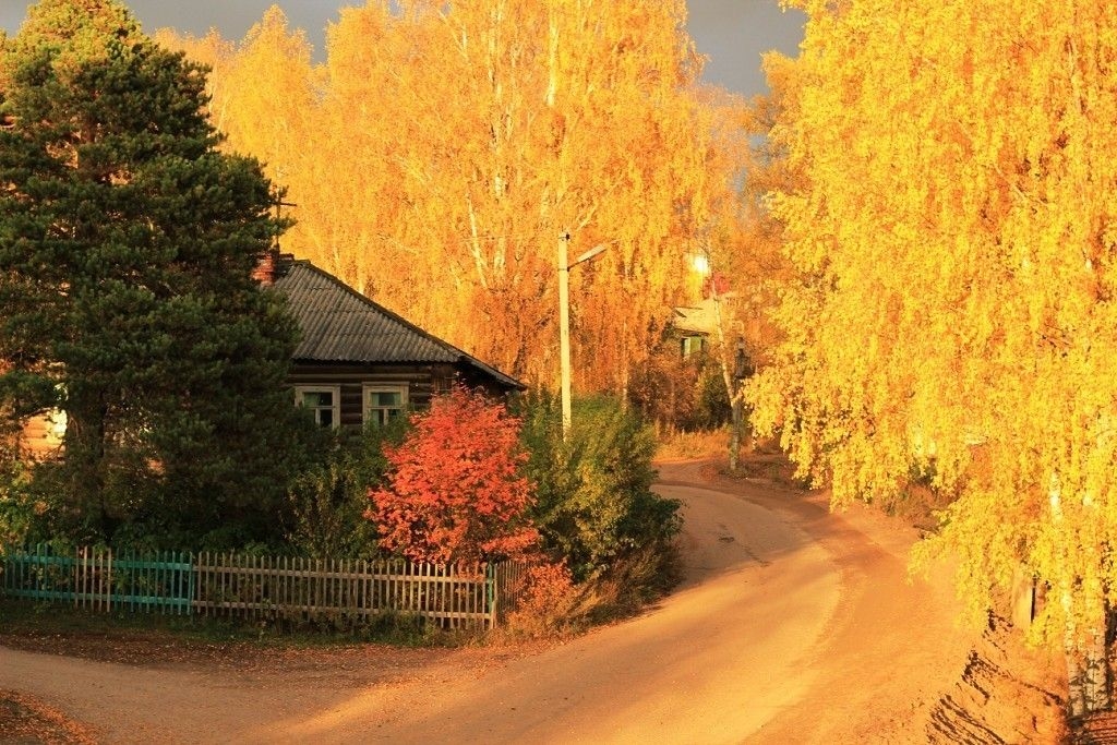 Золотая осень в деревне картинки 002