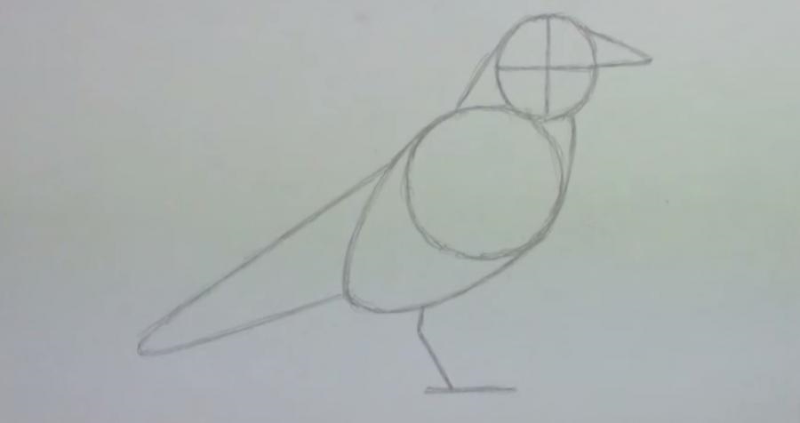 Как нарисовать ворону на дереве с сыром022