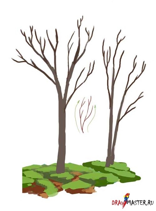 Как нарисовать листья деревьев красками   рисунки 023