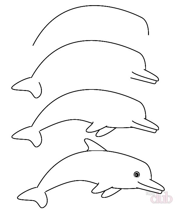 Как рисовать дельфинов в море   картинки 013