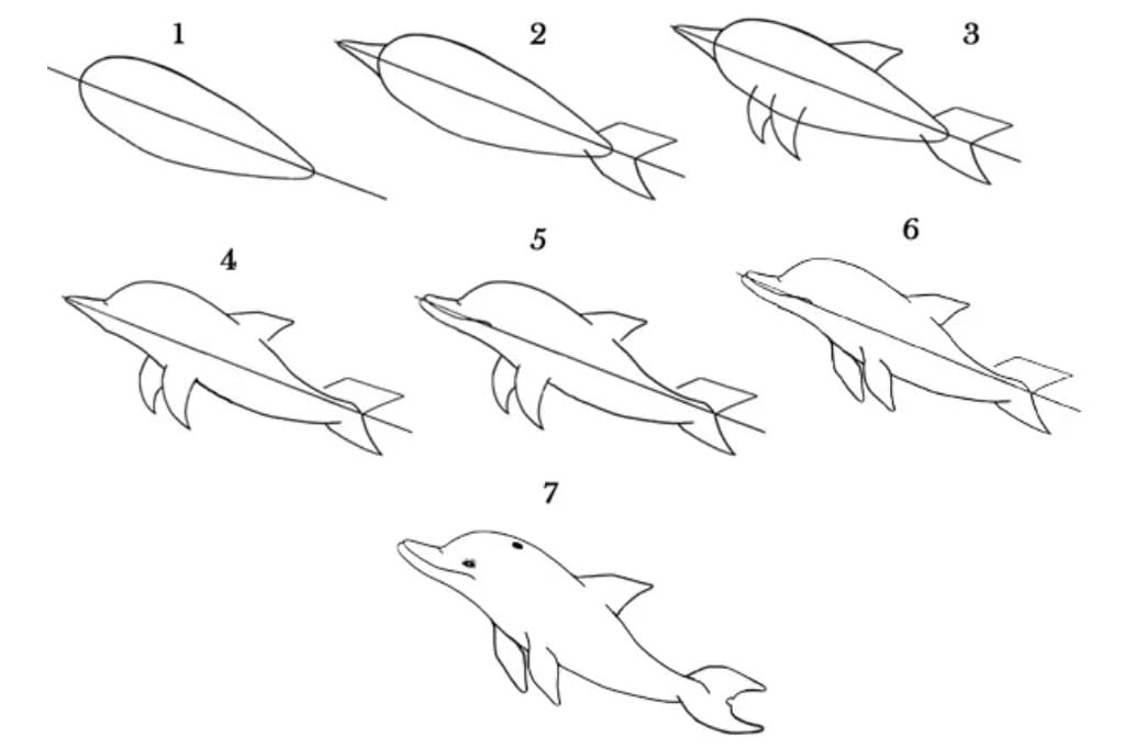 Как рисовать дельфинов в море   картинки 018