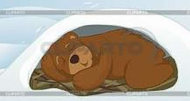 Картинка Медведь спит в берлоге для детей   лучшие фото (8)