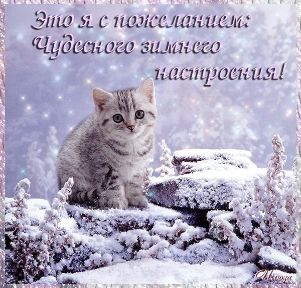 Картинка доброе утро снежное   подборка открыток 009