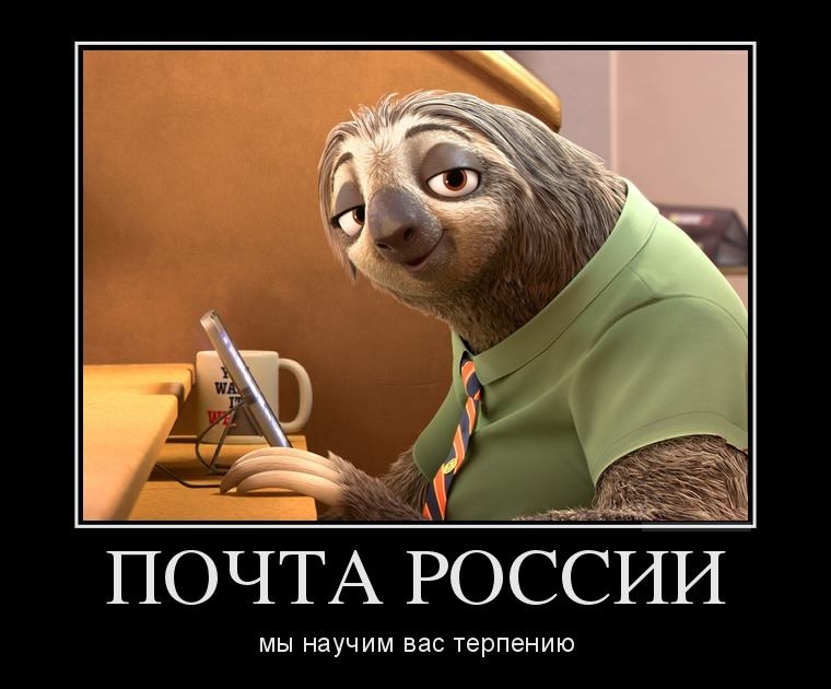 Картинка ленивец почта России   приколы 004
