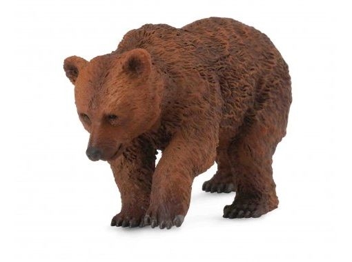 Картинка нарисованная медведь для детей 024