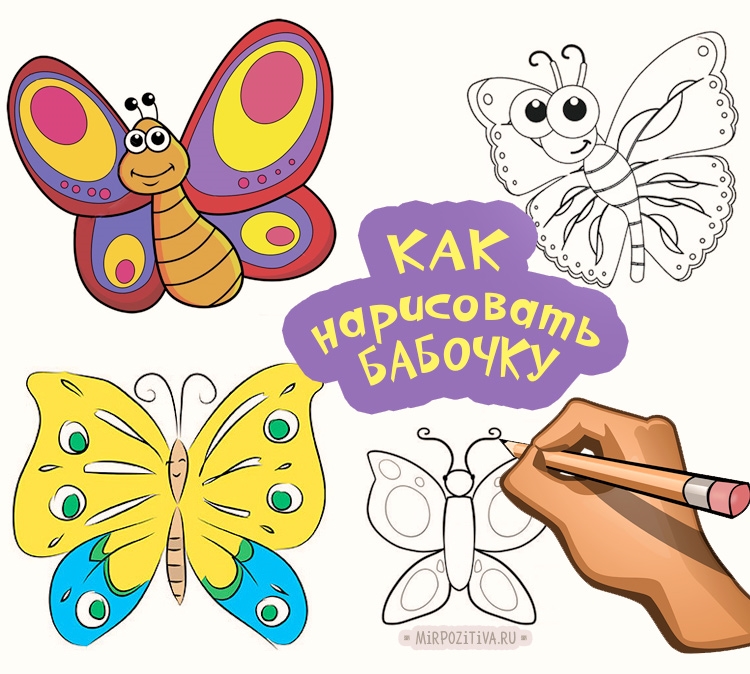 Картинки бабочки для срисовки для детей 007