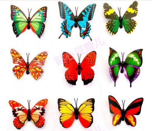 Картинки бабочки для срисовки для детей 021