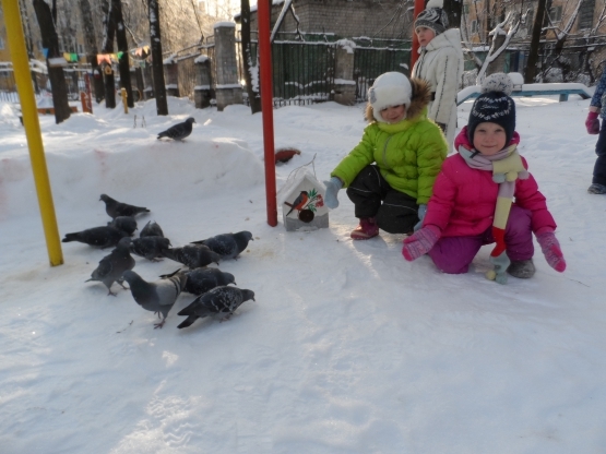 Картинки дети зимой кормят птиц 020