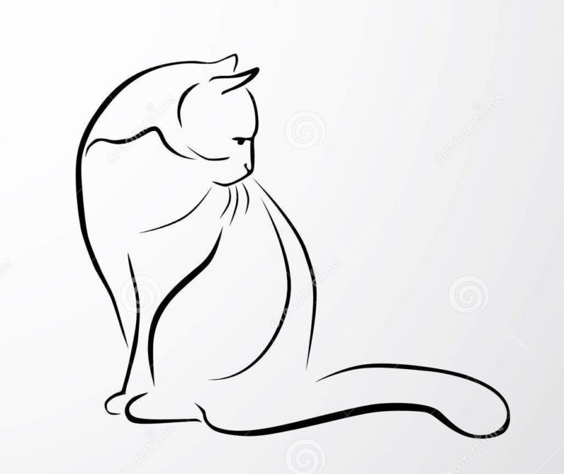 Картинки для срисовки кошки   красивые и милые (24)