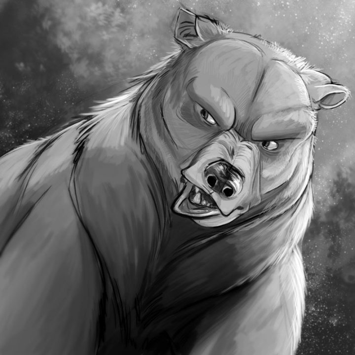 Картинки медведя нарисованные для детей   красивыая подборка 009