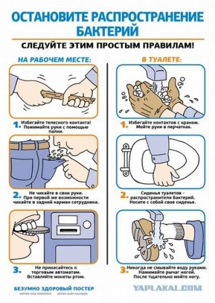 Картинка мойте руки после туалета