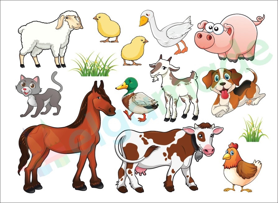 Картинки мультяшные домашние животные023