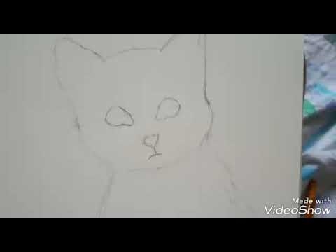Картинки нарисованные котики карандашом 014