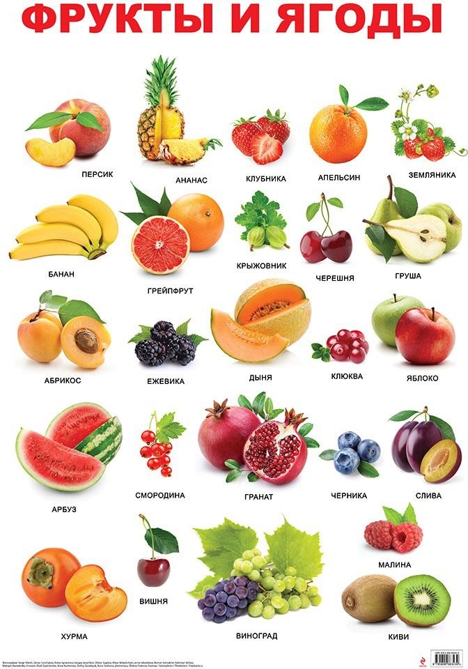 Картинки нарисованные овощи и фрукты 013