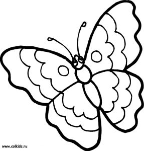 Картинки раскраски бабочки распечатать для детей 029