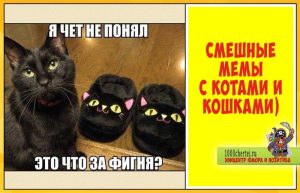 Картинки с котами нарисованными   подборка 024