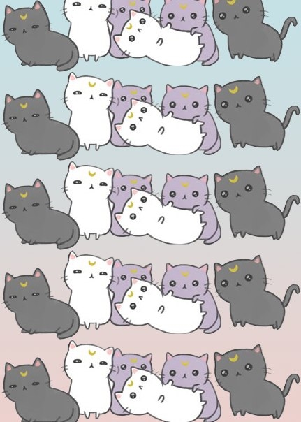 Картинки фон котики и кошки красивые 009