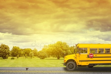 Картинки школьного автобуса желтого   красивые фото 010