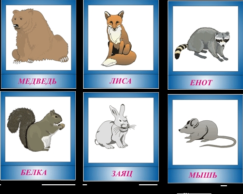 Карточки животные картинки для детей 009