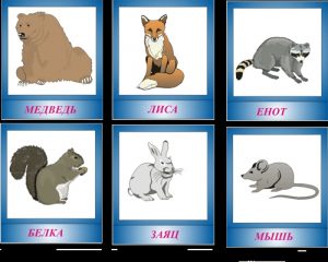 Карточки картинки для детей животные   бесплатно 029