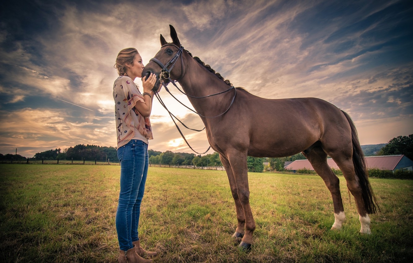 Конь в поле картинки и обои красивые (6)