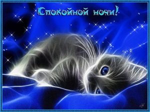 Котенок картинка спокойной ночи   смотреть бесплатно 021