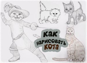 Котики нарисованные картинки карандашом 020