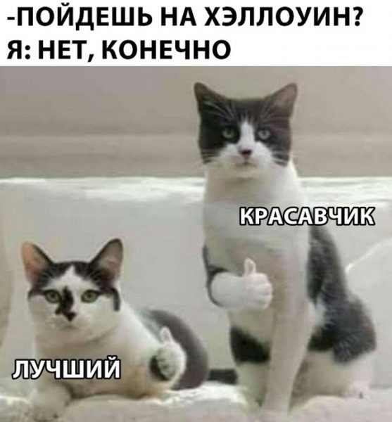 Красавчик картинка прикол