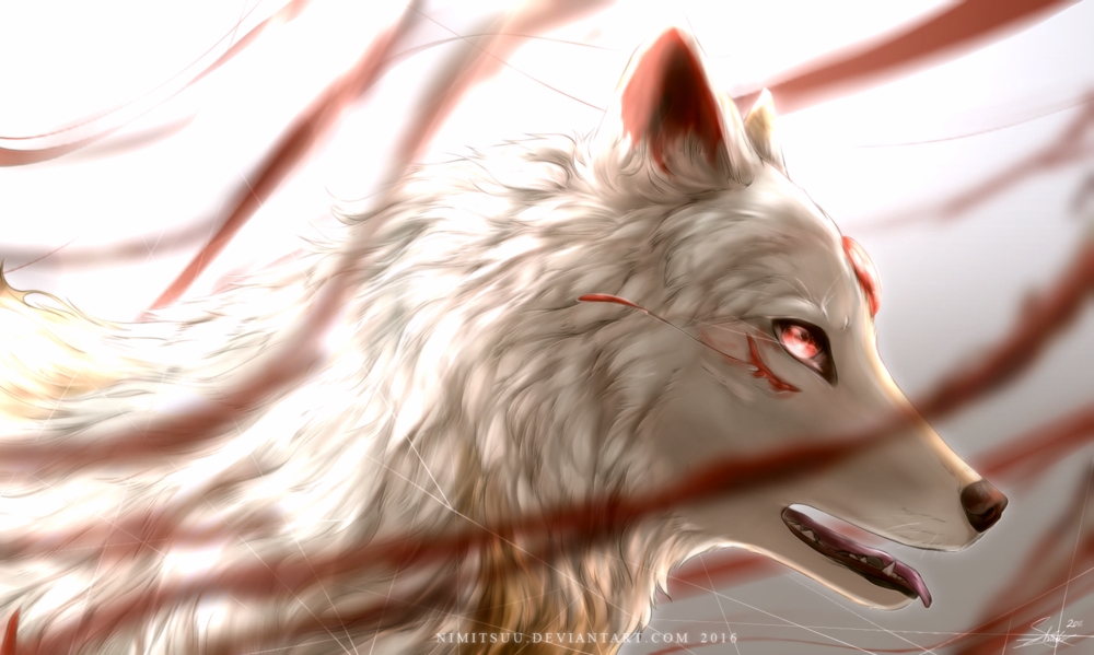 Красивые картинки аниме белого волка013