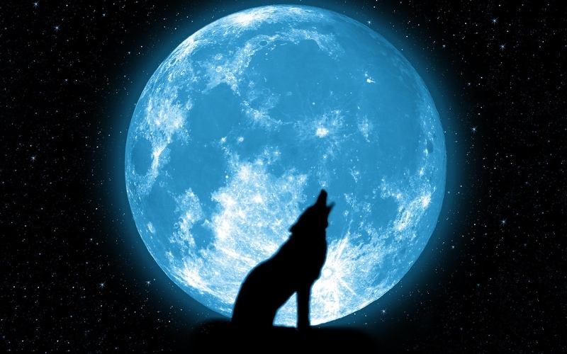Красивые картинки луна и волк 027