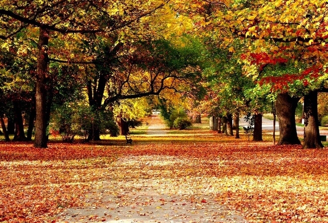 Красивые картинки осень на дворе014