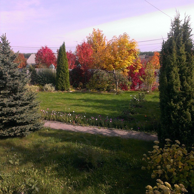 Красивые картинки осень на дворе016